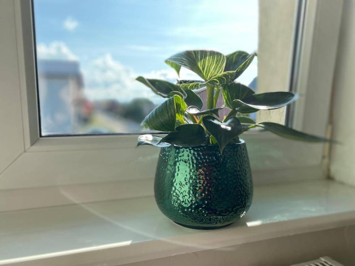Apartament Malicia Puck Exteriér fotografie
